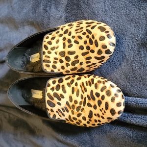 Birdies Starling Faux Cheetah